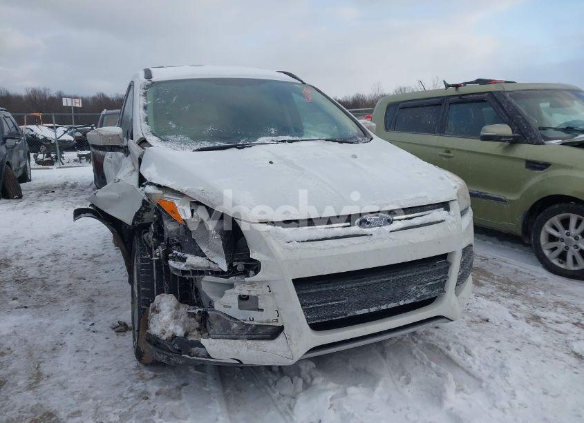 2014 Ford Escape SE (VIN 1FMCU0GX3EUA81589) main photo