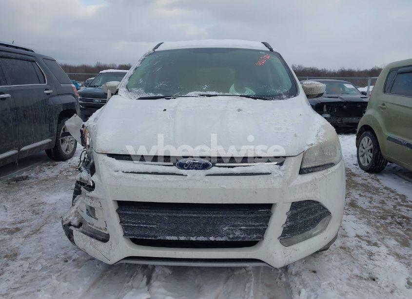 Photo 12 of 2014 Ford Escape SE (VIN 1FMCU0GX3EUA81589)