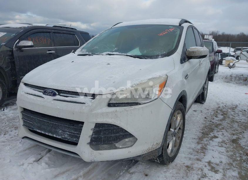 Photo 2 of 2014 Ford Escape SE (VIN 1FMCU0GX3EUA81589)