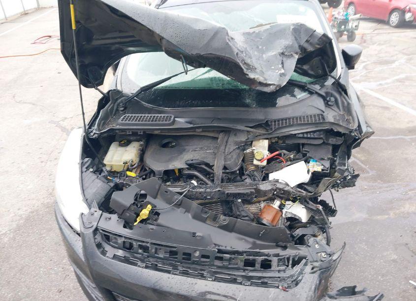 Photo 10 of 2014 Ford Escape SE (VIN 1FMCU0GX3EUB06880)