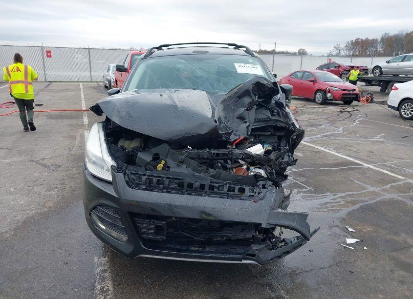 Photo 13 of 2014 Ford Escape SE (VIN 1FMCU0GX3EUB06880)