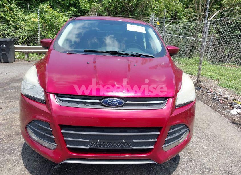 Photo 12 of 2014 Ford Escape SE (VIN 1FMCU0GX3EUB42844)
