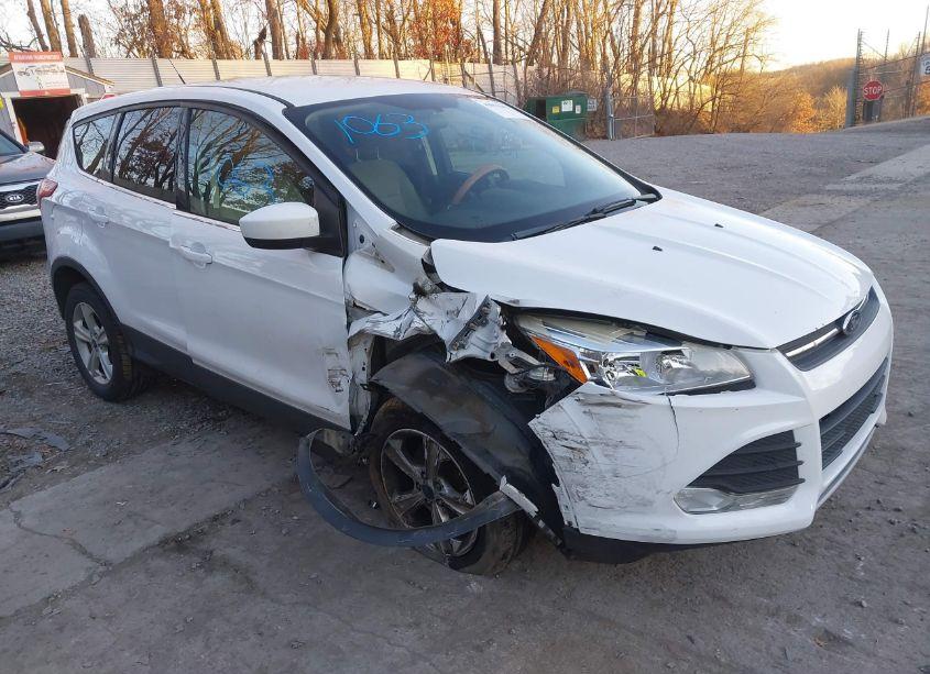 2014 Ford Escape SE (VIN 1FMCU0GX3EUB58347) main photo