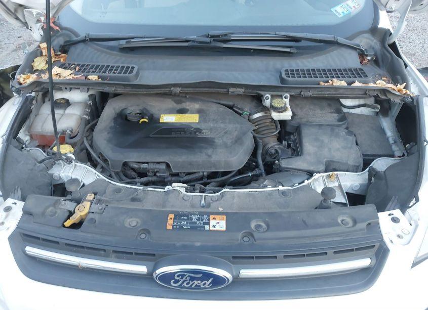 Photo 10 of 2014 Ford Escape SE (VIN 1FMCU0GX3EUB58347)