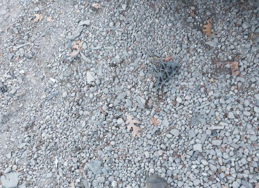 Photo 12 of 2014 Ford Escape SE (VIN 1FMCU0GX3EUB58347)