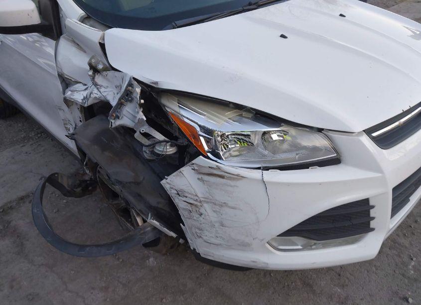 Photo 6 of 2014 Ford Escape SE (VIN 1FMCU0GX3EUB58347)