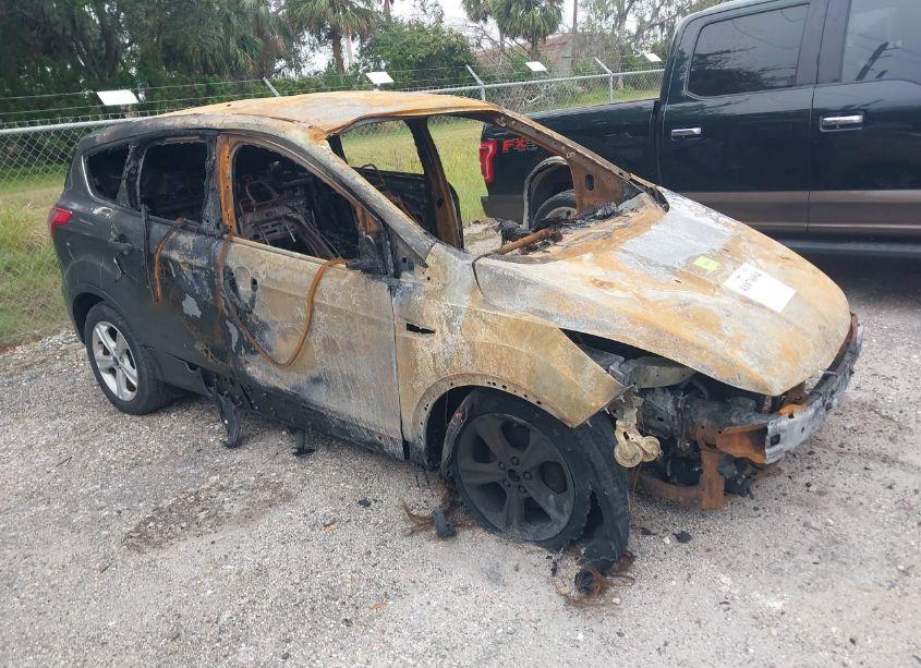 2014 Ford Escape SE (VIN 1FMCU0GX3EUB93275) main photo