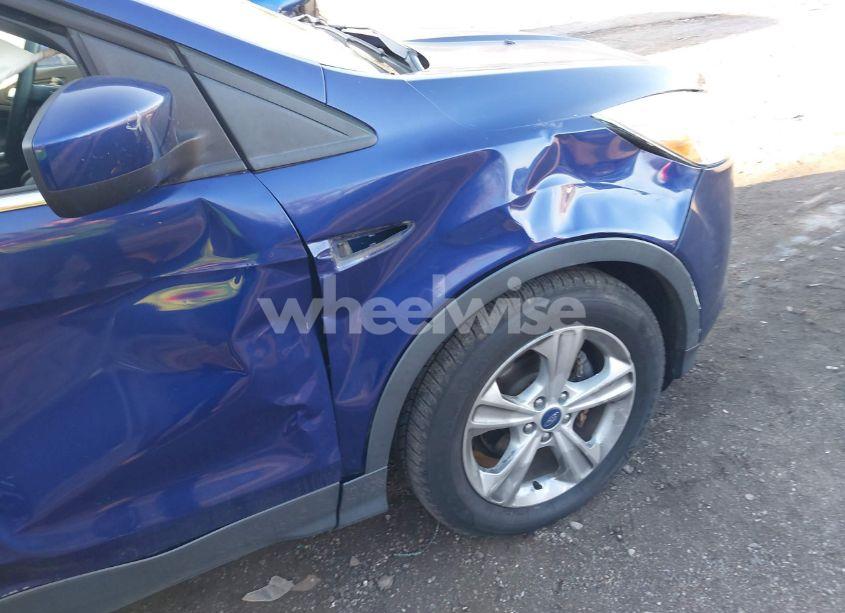 Photo 12 of 2014 Ford Escape SE (VIN 1FMCU0GX3EUB95401)