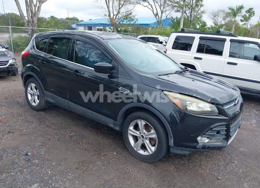 2014 Ford Escape SE (VIN 1FMCU0GX3EUC38084) main photo