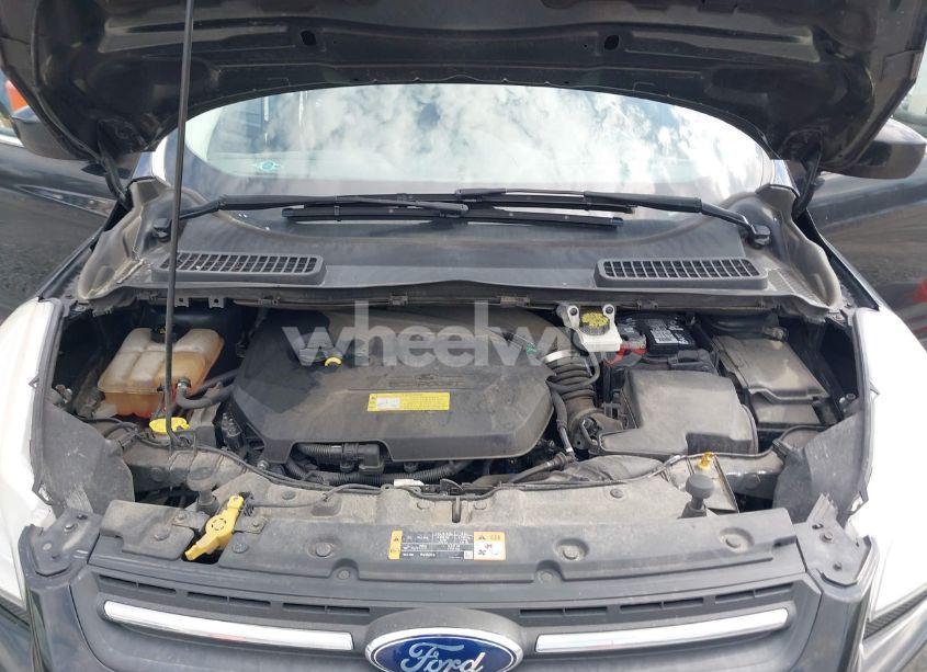 Photo 10 of 2014 Ford Escape SE (VIN 1FMCU0GX3EUC74597)