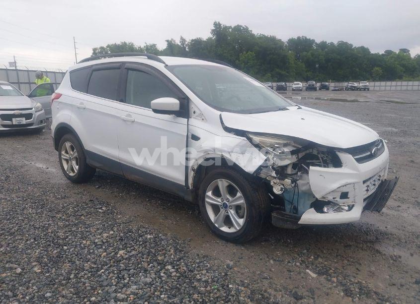 2014 Ford Escape SE (VIN 1FMCU0GX3EUC89794) main photo