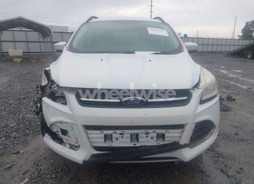 Photo 12 of 2014 Ford Escape SE (VIN 1FMCU0GX3EUC89794)