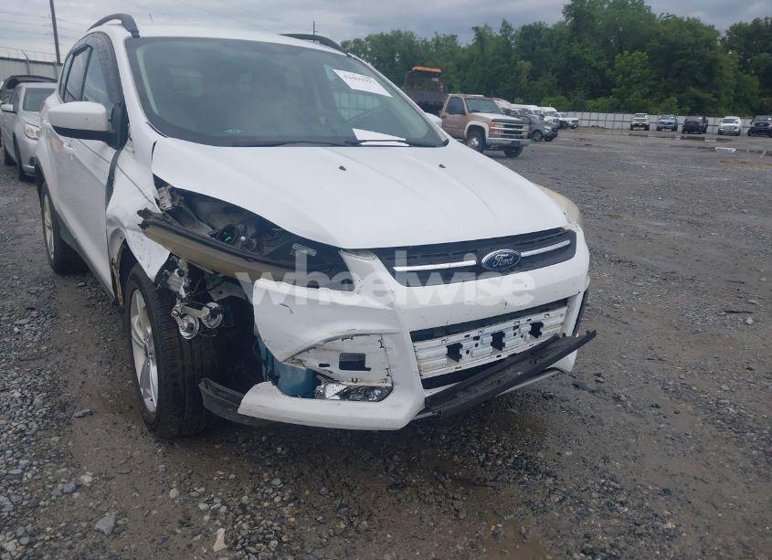Photo 6 of 2014 Ford Escape SE (VIN 1FMCU0GX3EUC89794)