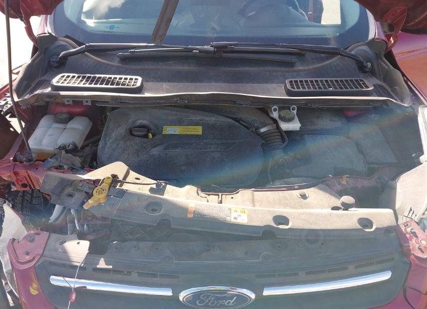 Photo 10 of 2014 Ford Escape SE (VIN 1FMCU0GX3EUC92677)