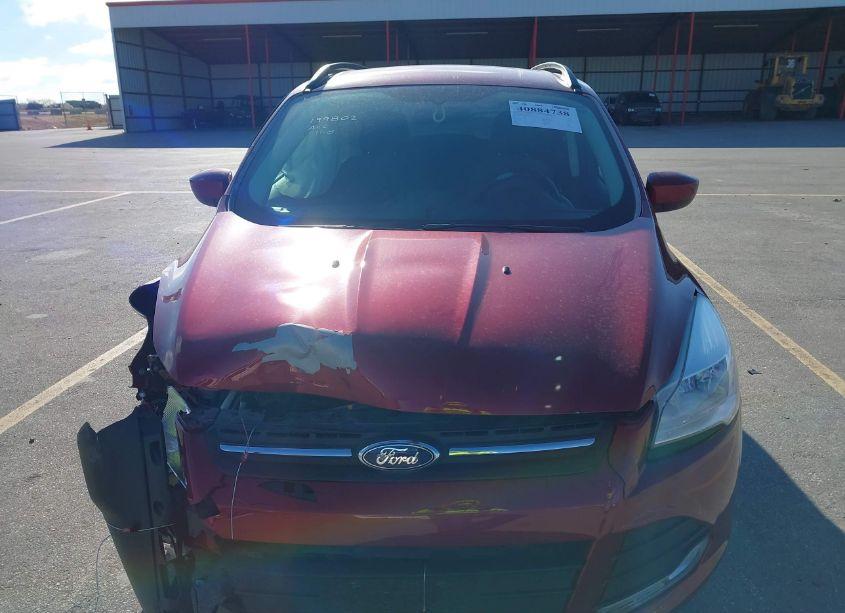 Photo 12 of 2014 Ford Escape SE (VIN 1FMCU0GX3EUC92677)
