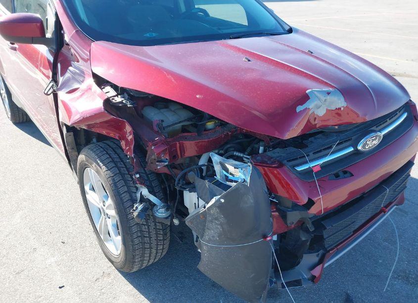 Photo 6 of 2014 Ford Escape SE (VIN 1FMCU0GX3EUC92677)