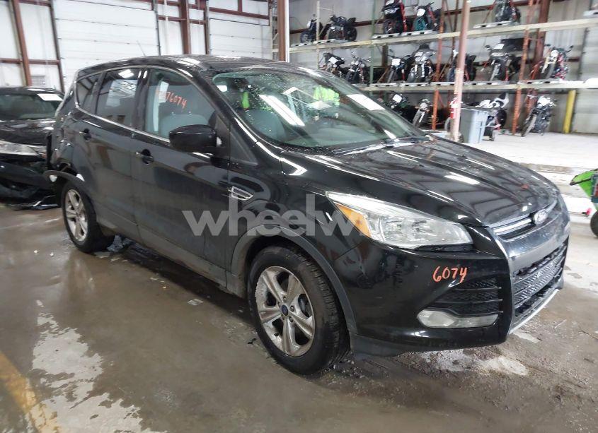 2014 Ford Escape SE (VIN 1FMCU0GX3EUE10856) main photo