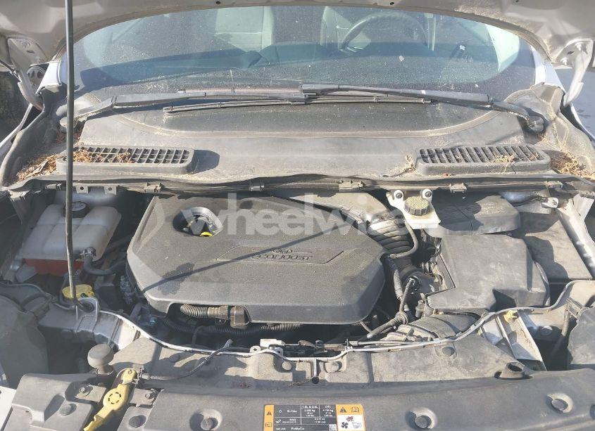 Photo 10 of 2014 Ford Escape SE (VIN 1FMCU0GX3EUE33604)