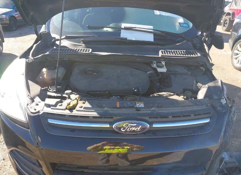 Photo 10 of 2014 Ford Escape SE (VIN 1FMCU0GX3EUE51939)