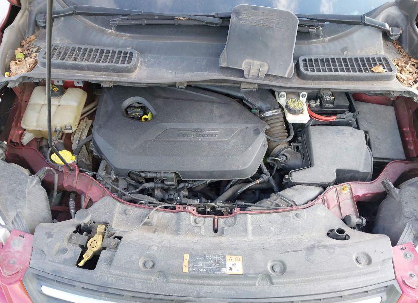 Photo 10 of 2015 Ford Escape SE (VIN 1FMCU0GX3FUA08014)