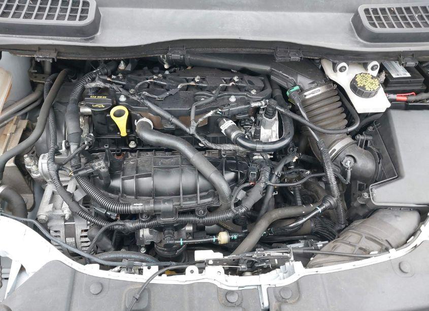 Photo 10 of 2015 Ford Escape SE (VIN 1FMCU0GX3FUB33840)