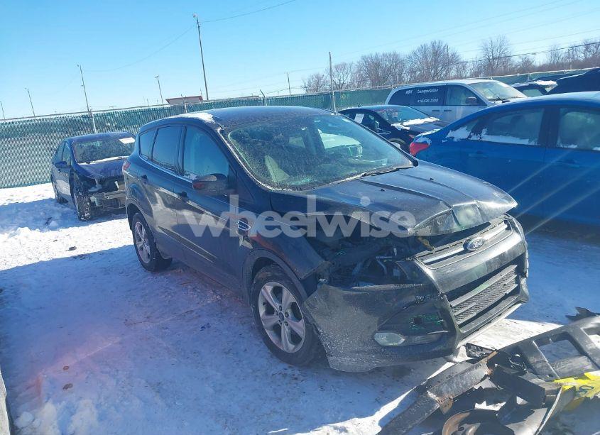 2015 Ford Escape SE (VIN 1FMCU0GX3FUC19505) main photo
