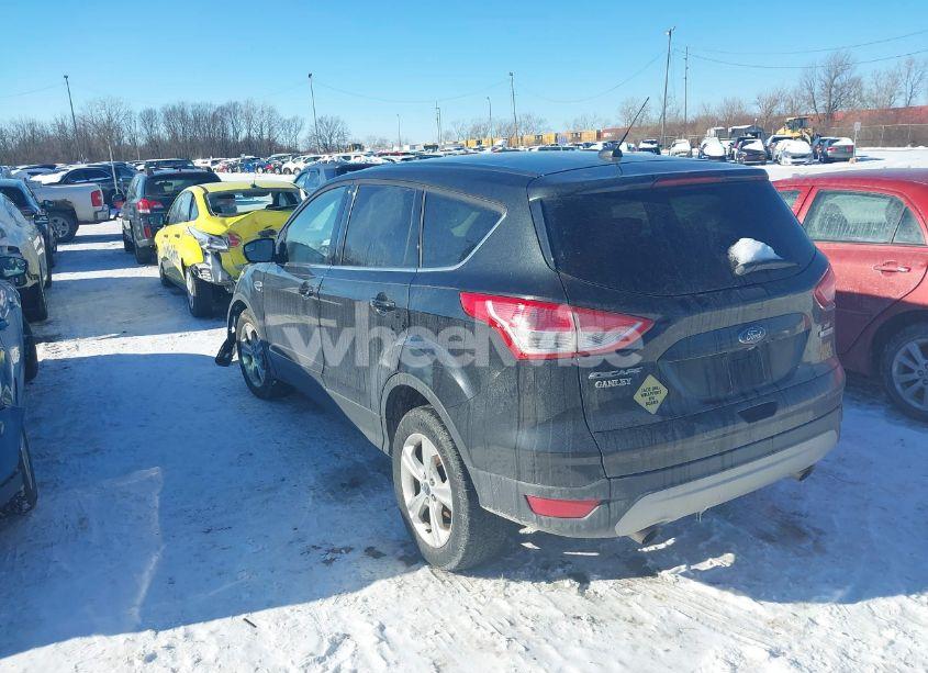 Photo 3 of 2015 Ford Escape SE (VIN 1FMCU0GX3FUC19505)