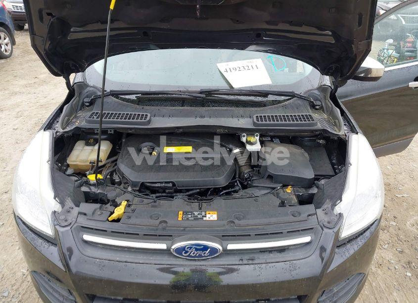 Photo 10 of 2015 Ford Escape SE (VIN 1FMCU0GX3FUC73452)