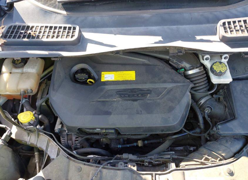 Photo 10 of 2015 Ford Escape SE (VIN 1FMCU0GX3FUC73922)