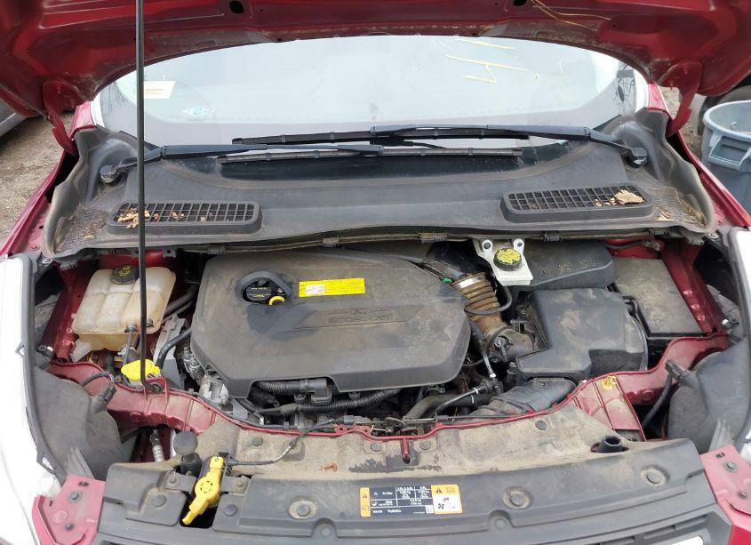 Photo 10 of 2016 Ford Escape SE (VIN 1FMCU0GX3GUB30180)