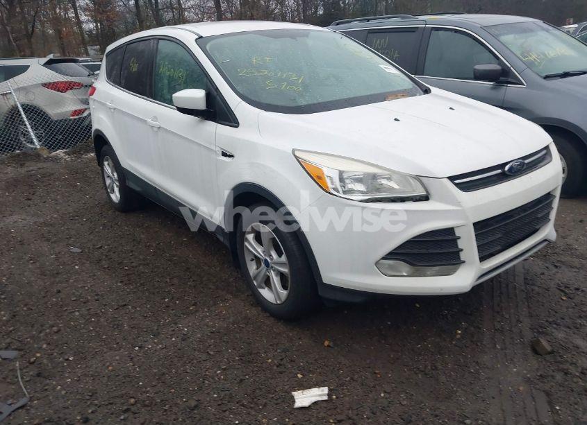 2013 Ford Escape SE (VIN 1FMCU0GX4DUB25324) main photo