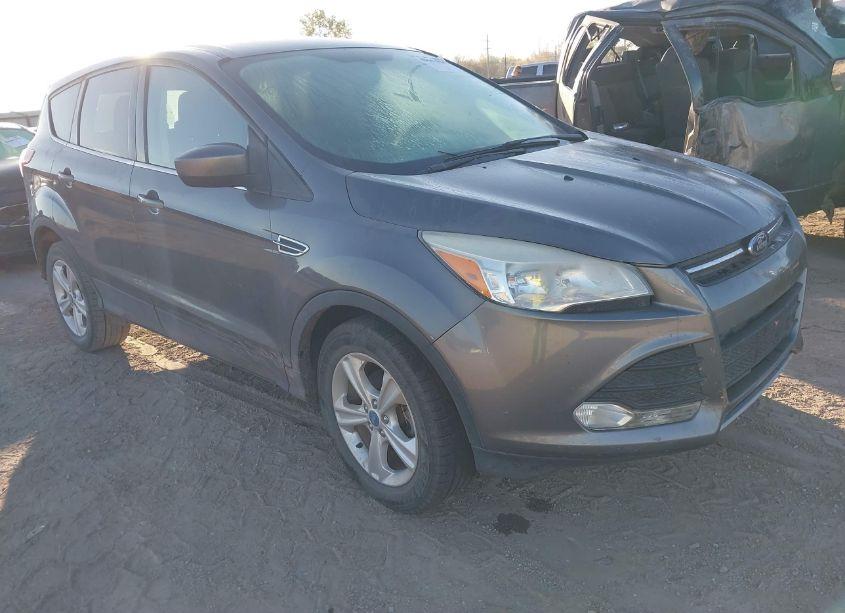 2013 Ford Escape SE (VIN 1FMCU0GX4DUB93784) main photo
