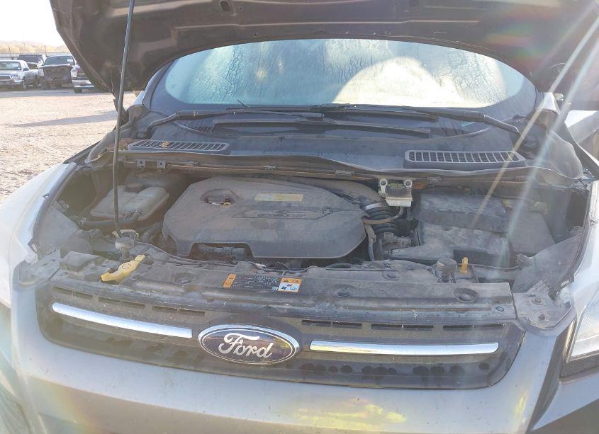 Photo 10 of 2013 Ford Escape SE (VIN 1FMCU0GX4DUB93784)