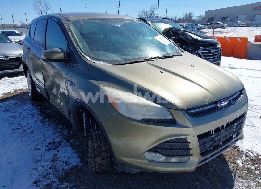 2013 Ford Escape SE (VIN 1FMCU0GX4DUC60741) main photo