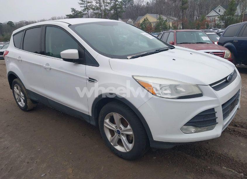 2014 Ford Escape SE (VIN 1FMCU0GX4EUA50819) main photo