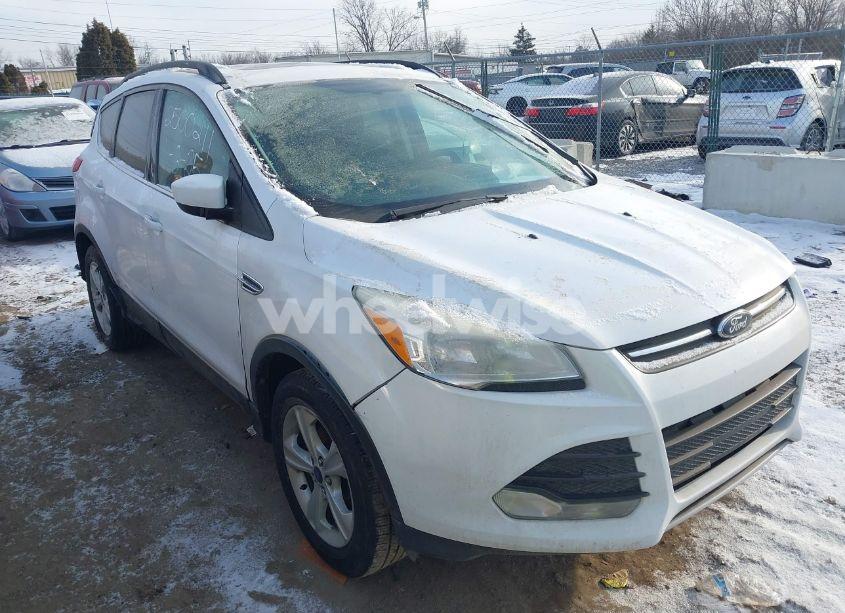 2014 Ford Escape SE (VIN 1FMCU0GX4EUA60637) main photo