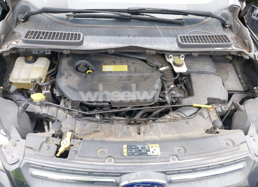 Photo 10 of 2014 Ford Escape SE (VIN 1FMCU0GX4EUB21811)