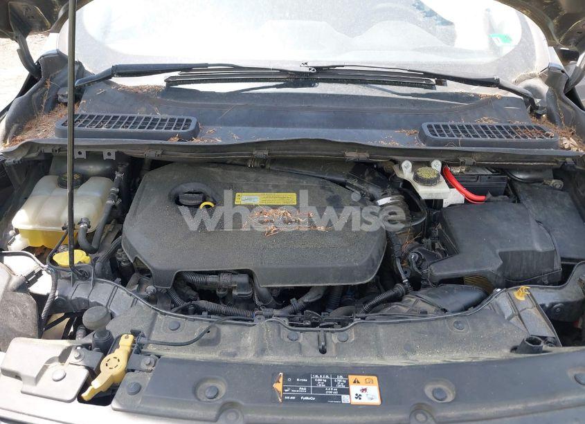 Photo 10 of 2014 Ford Escape SE (VIN 1FMCU0GX4EUB80471)