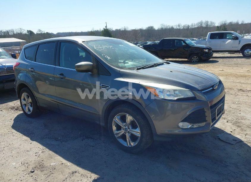 2014 Ford Escape SE (VIN 1FMCU0GX4EUB81264) main photo