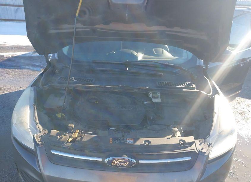 Photo 10 of 2014 Ford Escape SE (VIN 1FMCU0GX4EUC23951)