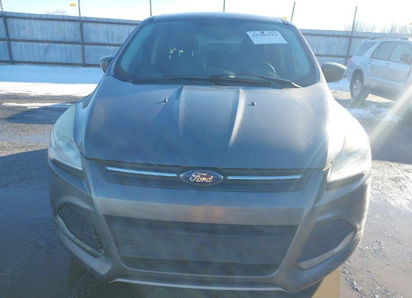 Photo 6 of 2014 Ford Escape SE (VIN 1FMCU0GX4EUC23951)