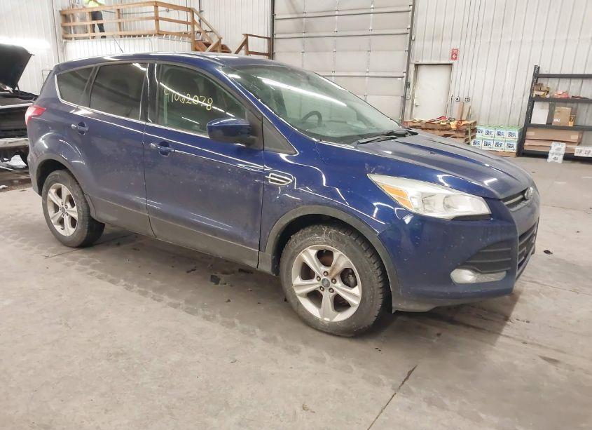 2014 Ford Escape SE (VIN 1FMCU0GX4EUC52799) main photo