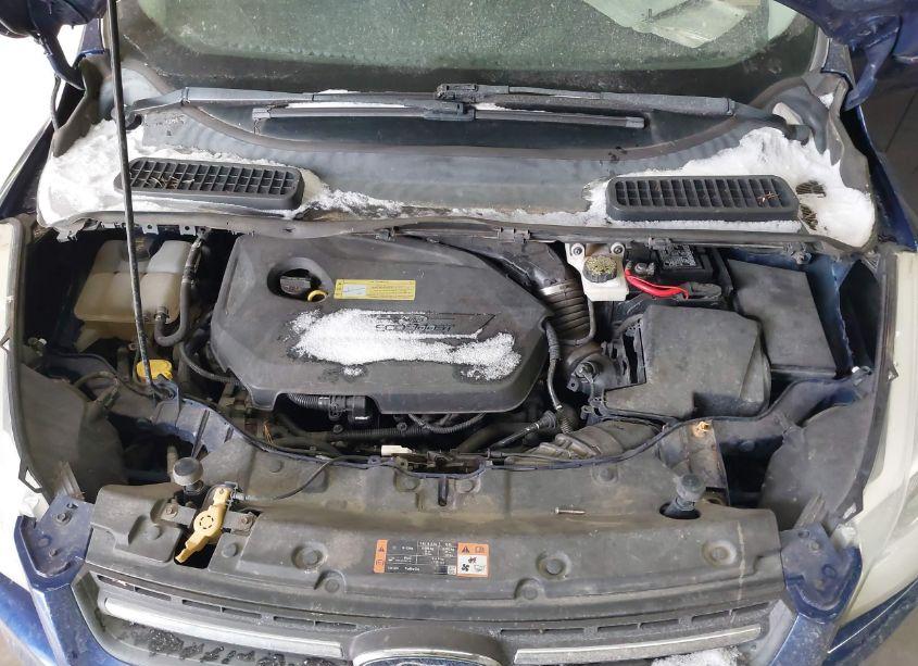 Photo 10 of 2014 Ford Escape SE (VIN 1FMCU0GX4EUC52799)