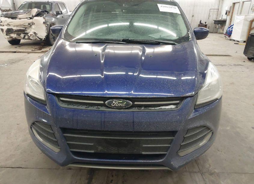 Photo 6 of 2014 Ford Escape SE (VIN 1FMCU0GX4EUC52799)