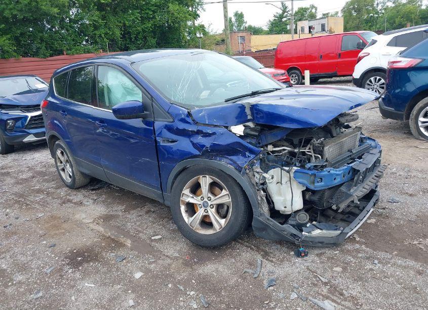 2014 Ford Escape SE (VIN 1FMCU0GX4EUD00284) main photo