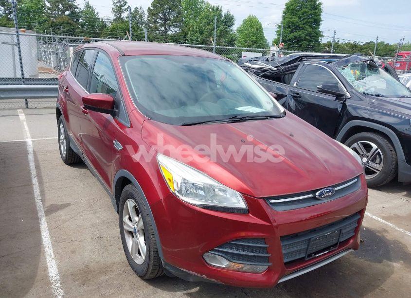 2014 Ford Escape SE (VIN 1FMCU0GX4EUD02407) main photo
