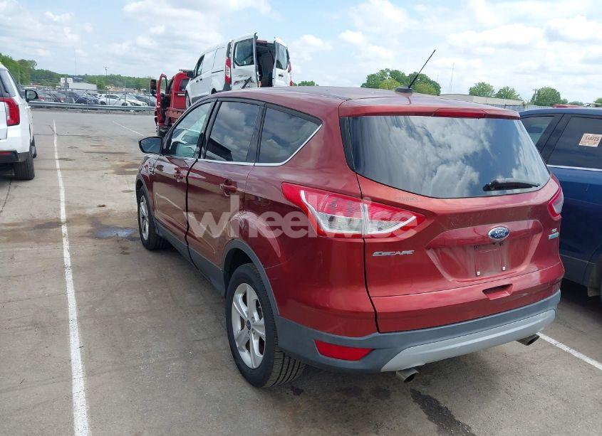 Photo 3 of 2014 Ford Escape SE (VIN 1FMCU0GX4EUD02407)
