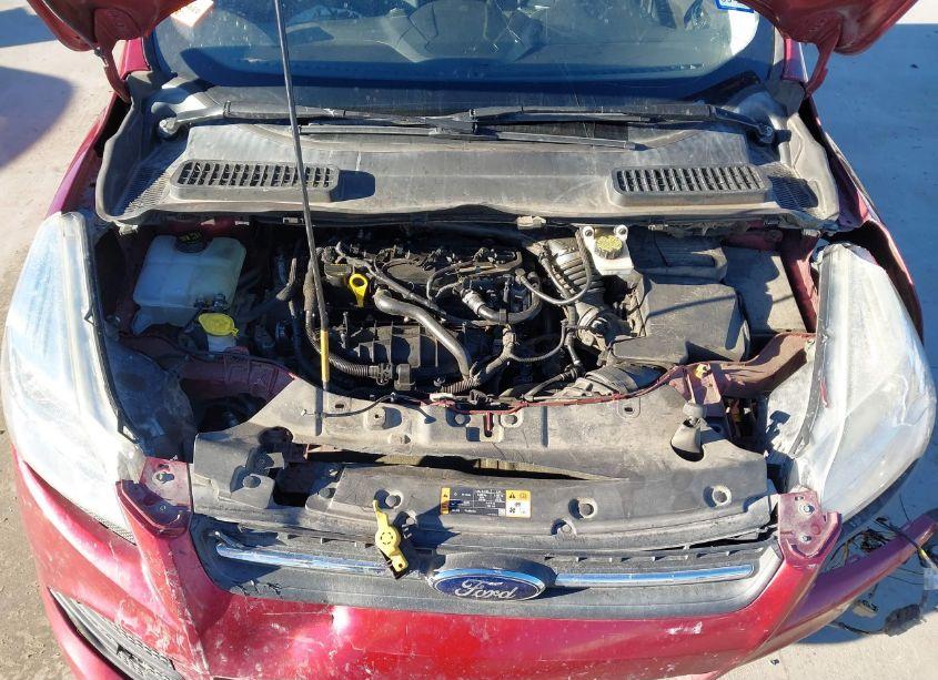 Photo 10 of 2014 Ford Escape SE (VIN 1FMCU0GX4EUD24536)