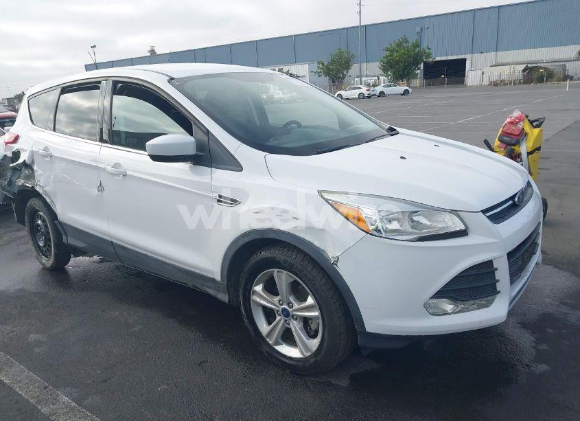 2014 Ford Escape SE (VIN 1FMCU0GX4EUD80931) main photo