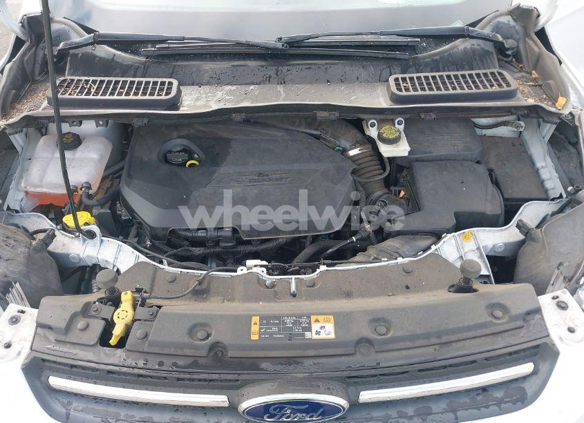 Photo 10 of 2014 Ford Escape SE (VIN 1FMCU0GX4EUD80931)
